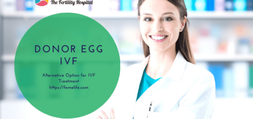 donor egg ivf