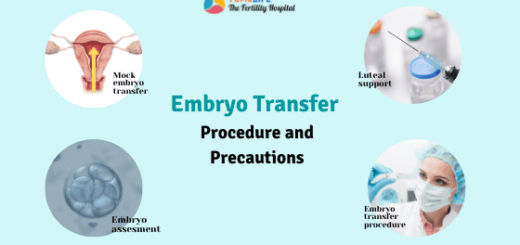 embryo transfer