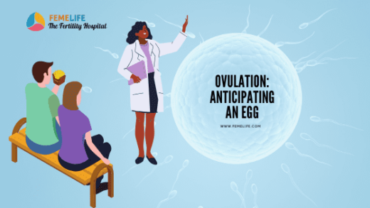 Ovulation