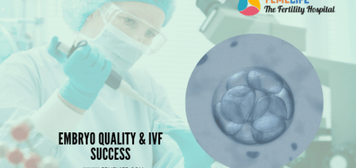 Embryo Quality