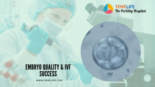 Embryo Quality