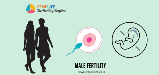 Male Fertility