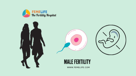 Male Fertility