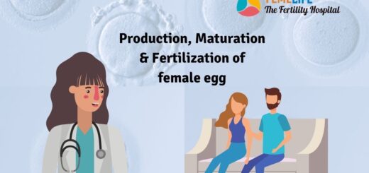 Female Egg