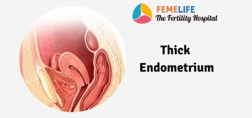 Thick Endometrium