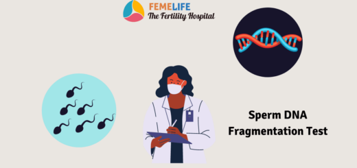 Sperm DNA Fragmentation Test