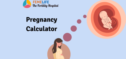 Pregnancy calculator