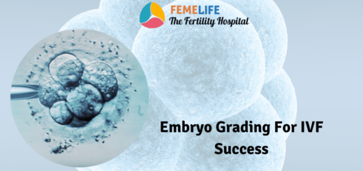 Embryo grading