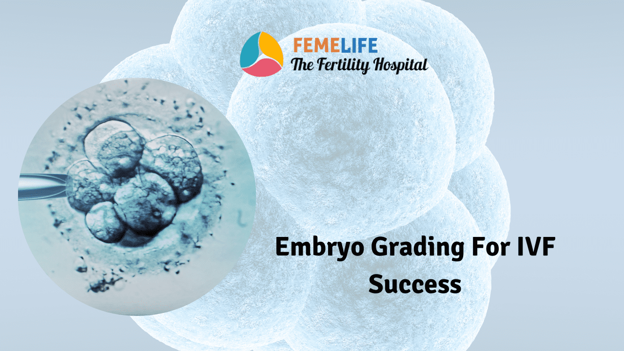 Embryo grading