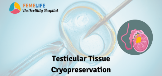 Testicular tissue cryopreservation