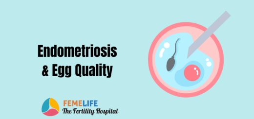 Egg quality in Endometriosis