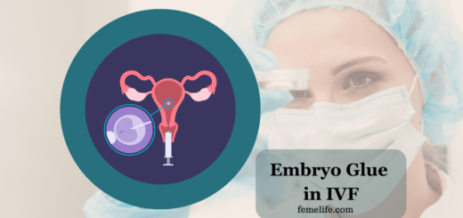 Embryo Glue in IVF