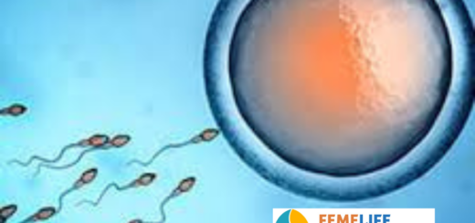 Fertility Clinic Services