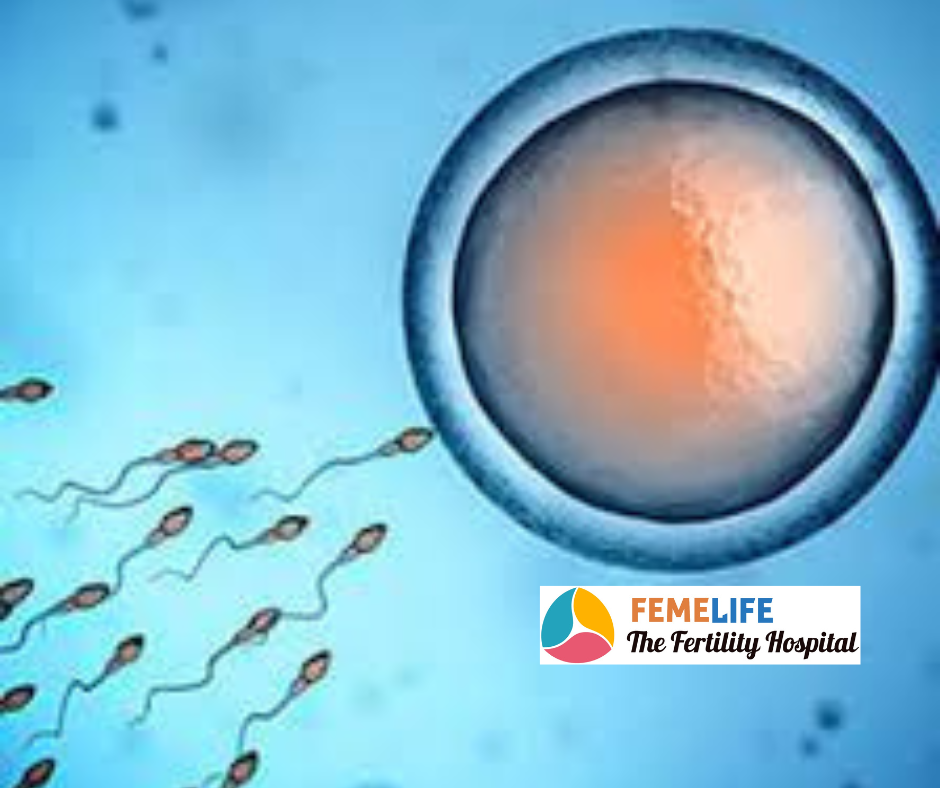 Fertility Clinic Services