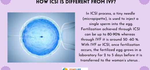 IVF Process Step by Step